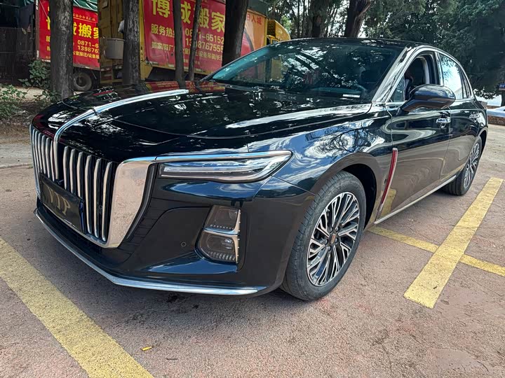 Hongqi H5 2024 2.0T Automatic Zhilianqichang Edition
