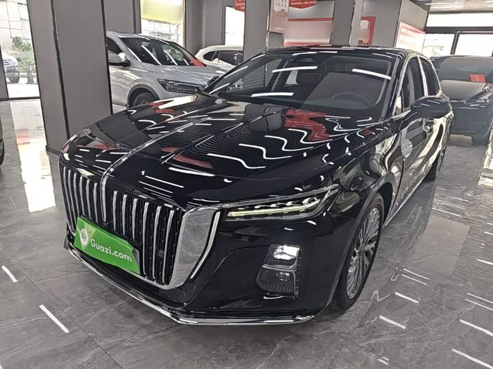 Hongqi H5 2023 2.0T Automatic Zhilian Qichang Edition