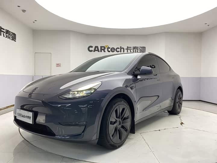 Model Y 2021 Standard Range Rear-Wheel Drive