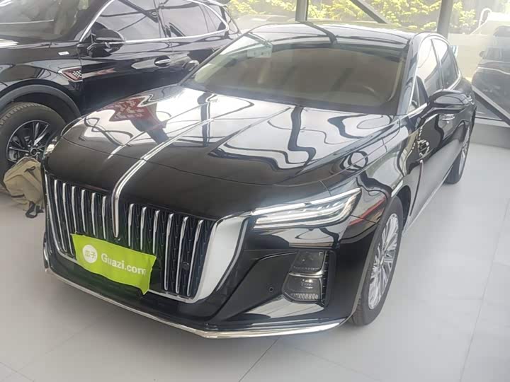 Hongqi H5 2023 2.0T Automatic Zhilian Qichang Edition