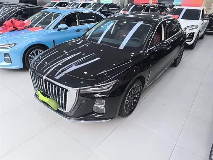 Hongqi H5 2024 2.0T Automatic Zhilian Qichang Edition