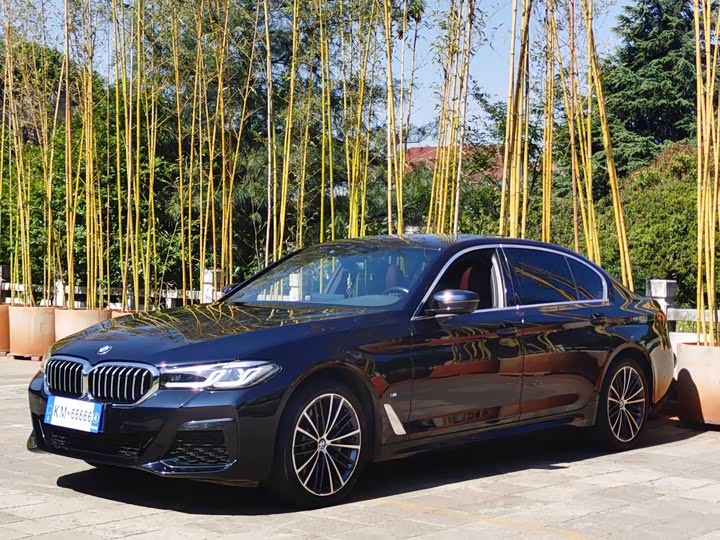 BMW 5 Series 2022 530Li Leading M Sports Package