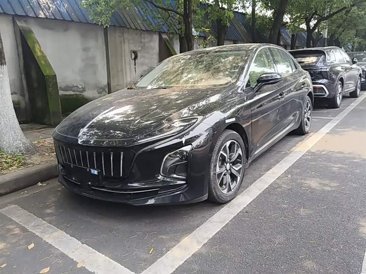 Hongqi E-QM5 2023 basic travel version