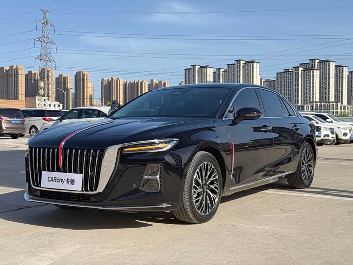 Hongqi H5 2024 2.0T Automatic Zhilianqichang Edition