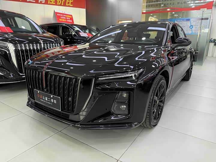 Hongqi H5 2025 2.0T Automatic Xuanying Edition