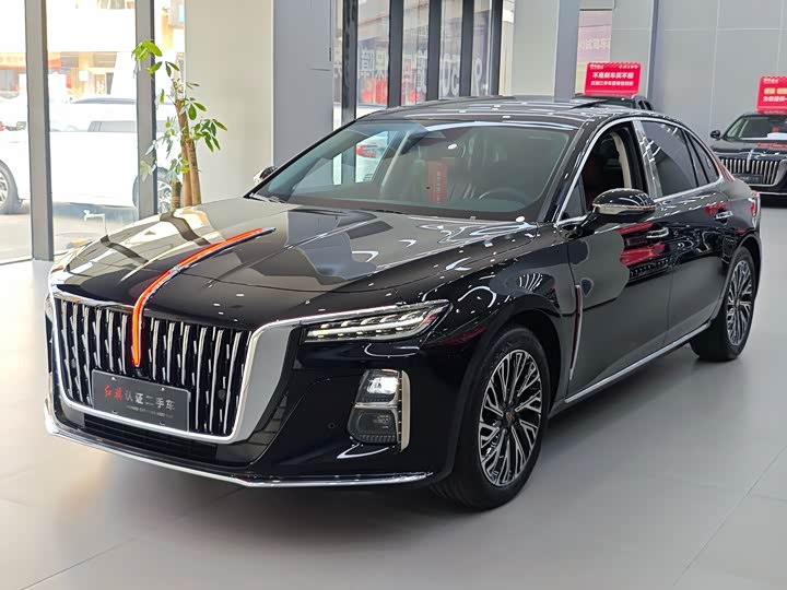 Hongqi H5 2024 2.0T Automatic Zhilian Qichang Edition
