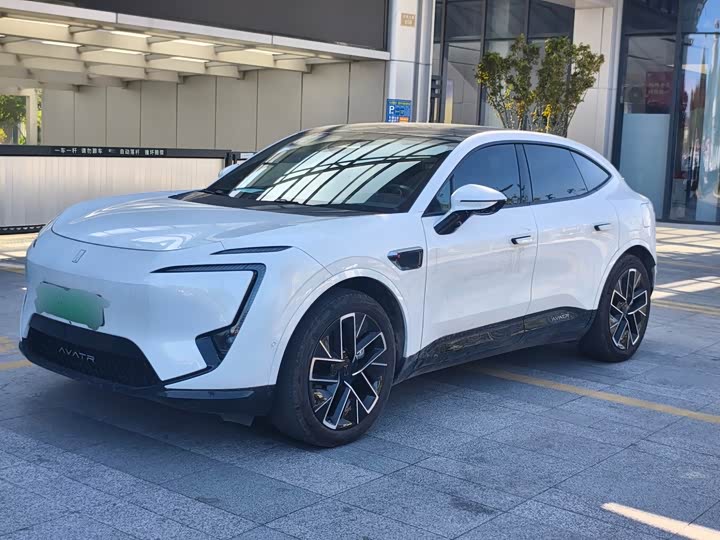 11 2025 Model Max EV Edition