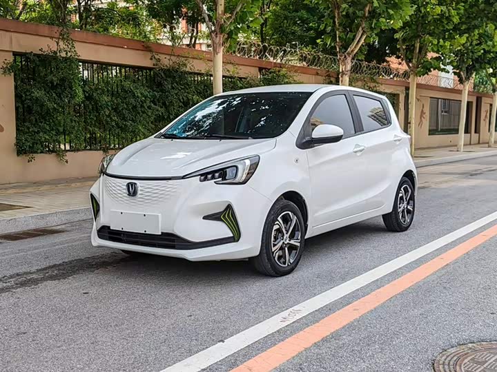 Changan Benben E-Star 2020 Heartbeat Edition ternary lithium