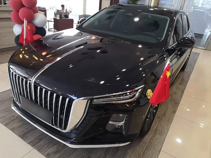 Hongqi H5 2024 2.0T Automatic Zhilian Qichang Edition