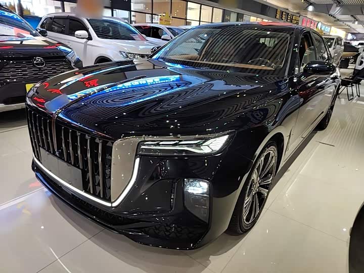 H9 2024 Model 2.0T Edition