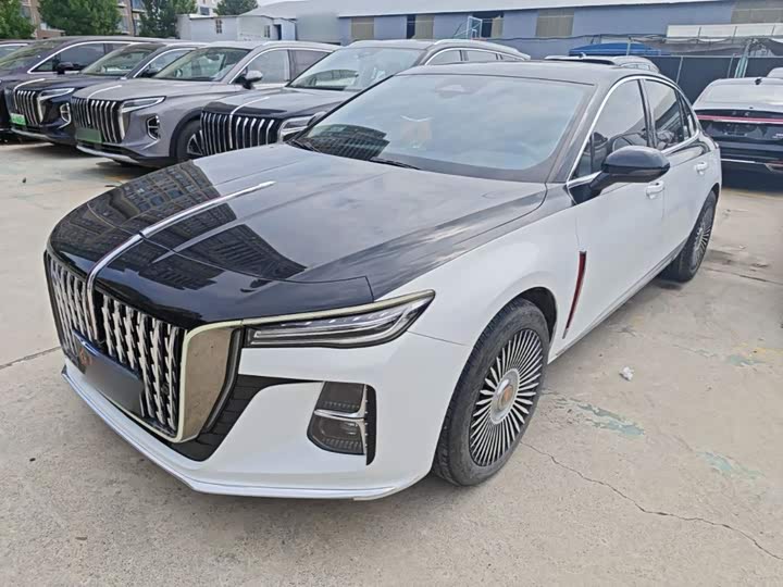 Hongqi H5 2024 2.0T Automatic Zhilian Qichang Edition