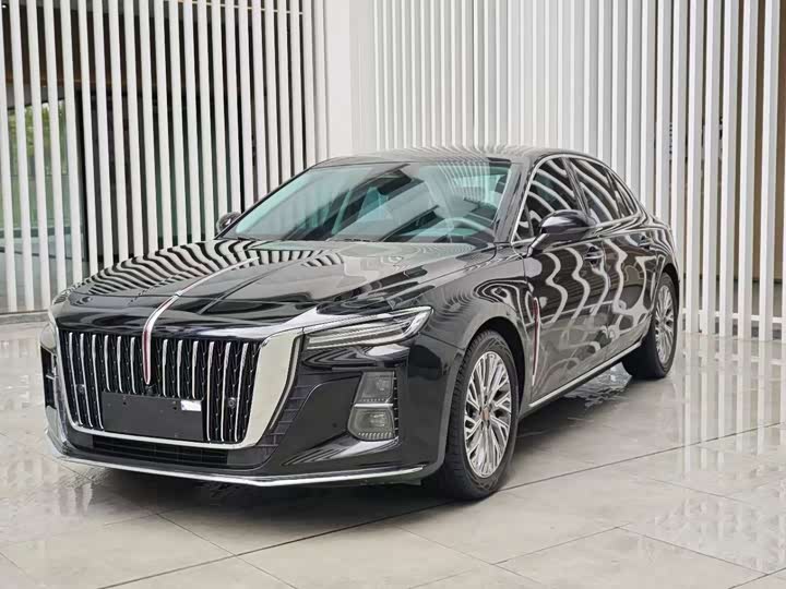 Hongqi H5 2023 2.0T Automatic Zhilianqichang Edition