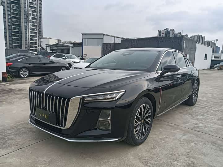 Hongqi H5 2024 2.0T Automatic Zhilianqichang Edition
