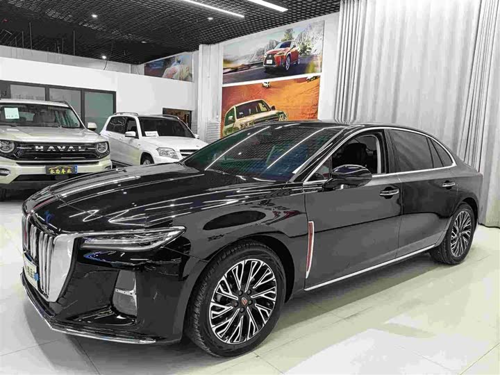 Hongqi H5 2024 2.0T Automatic Zhilianqichang Edition