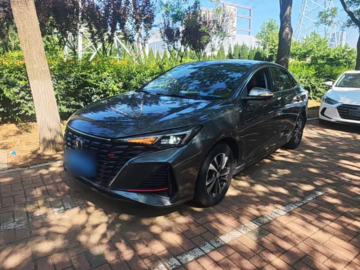 Yidong 2023 Changxiang Edition PLUS Blue Whale NE 1.4T GDI DCT Distinguished Edition