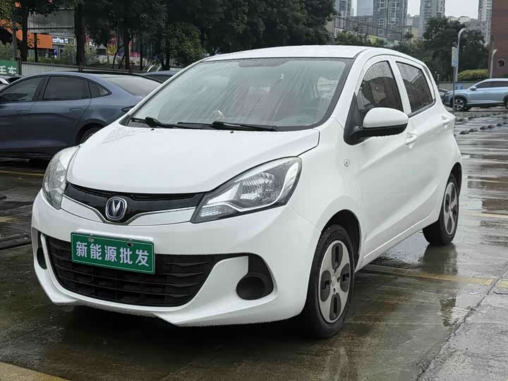 E-Star 2021 Model Edition Edition （31.95kWh）