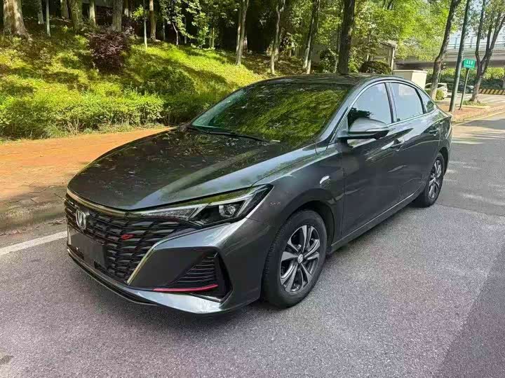 Yidong 2023 Changxiang Edition PLUS Blue Whale NE 1.4T GDI DCT Distinguished Edition