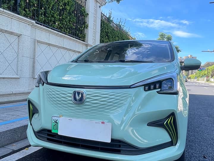 Changan Benben E-Star 2022 Qingxin Edition Colorful Edition Lithium Iron Phosphate