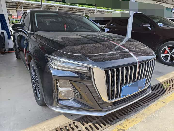Hongqi H5 2023 2.0T Automatic Zhilianqichang Edition