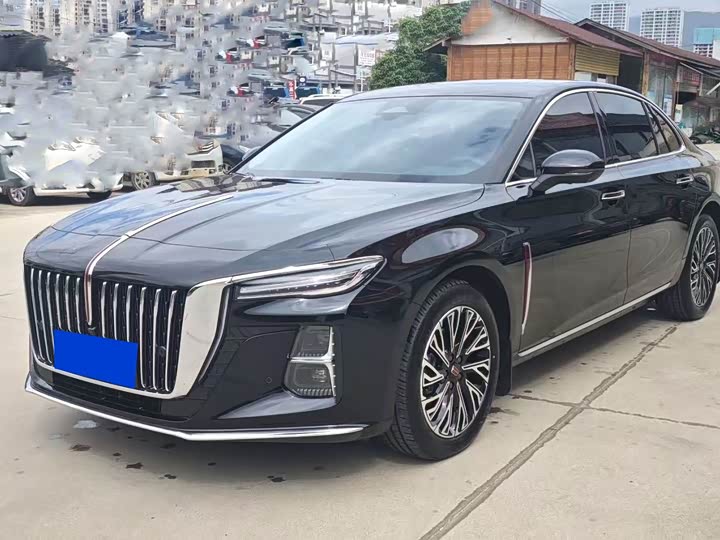 Hongqi H5 2024 2.0T Automatic Zhilianqichang Edition