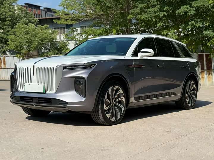 Hongqi E-HS9 2021 model 510km flag collar version four seats