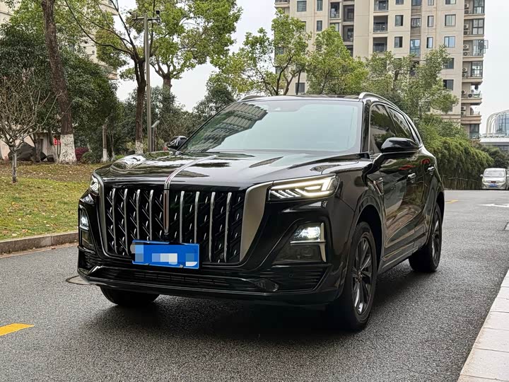Hongqi HS5 2025 2.0T two-wheel drive Qixiang Pro version