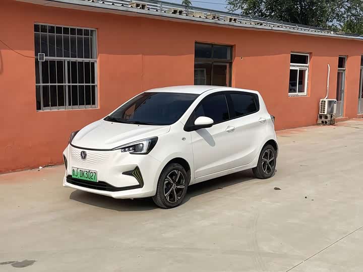 Changan Benben E-Star 2022 Shangxin Edition Colorful Edition LFP