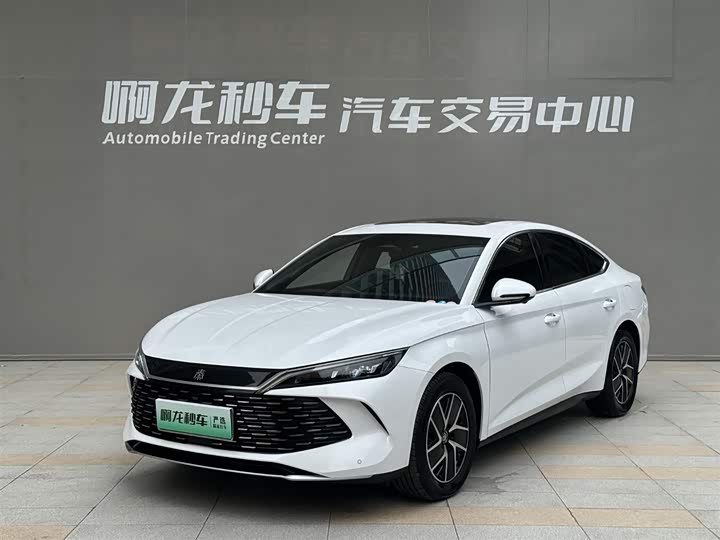 Qin L 2024 DM-i 120KM transcendent model