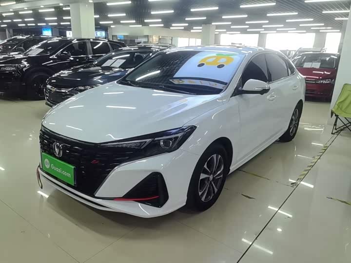 Yidong 2023 Changxiang Edition PLUS Blue Whale NE 1.4T GDI DCT Distinguished Edition