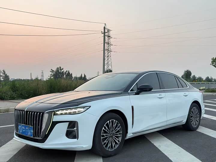 Hongqi H5 2023 2.0T Automatic Zhilian Qichang Edition