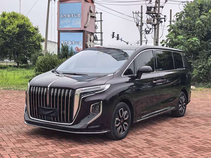 Hongqi HQ9 2023 2.0T Zhilian Qiling Edition