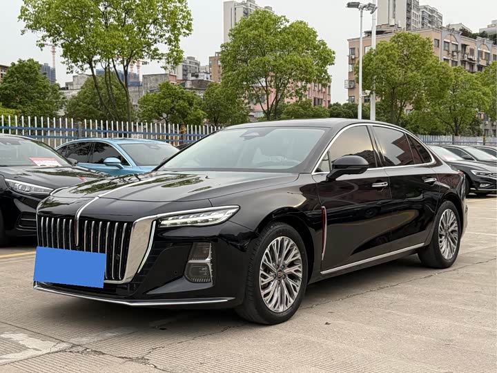 Hongqi H5 2023 2.0T Automatic Zhilian Qichang Edition