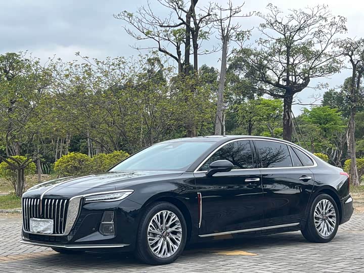 Hongqi H5 2023 2.0T Automatic Zhilian Qichang Edition