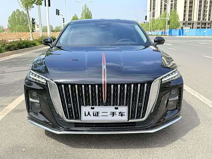 Hongqi H5 2024 2.0T Automatic Zhilian Qichang Edition