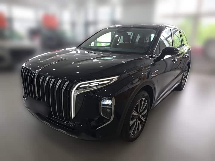 HS7 PHEV 2025 Model 2.0T PHEV AWD200Anniversary Edition 6