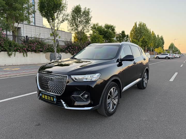Haval H6 2021 1.5GDIT Automatic Champion Edition