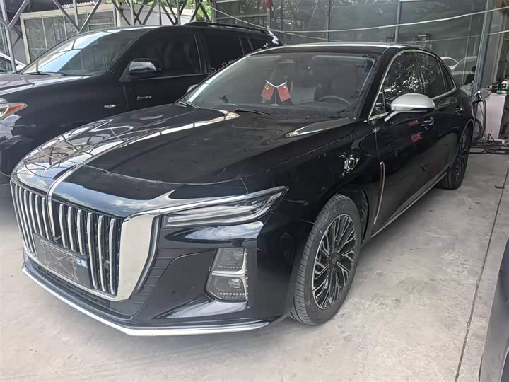 Hongqi H5 2024 2.0T Automatic Zhilian Qichang Edition