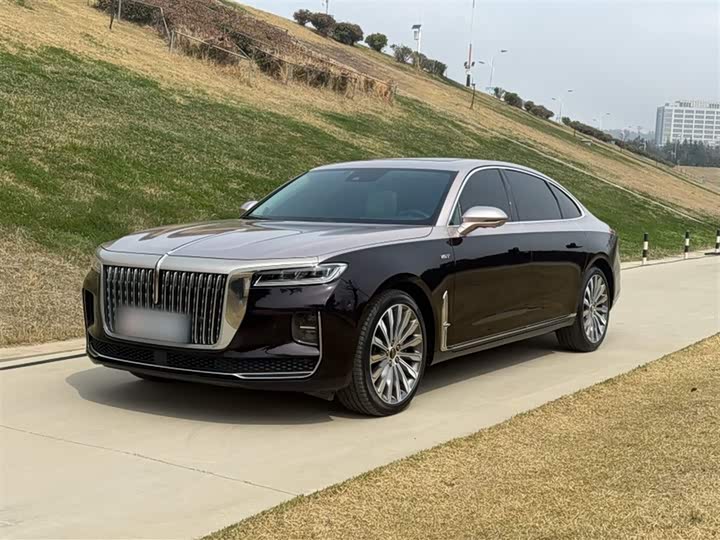 Hongqi H9 2020 3.0T Zhilian Qiling four-seater version