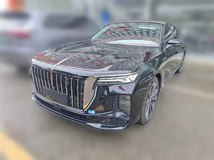 Hongqi H9 2024 2.0T Qixiang Private Fashion Edition