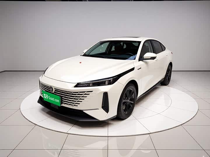 Yida 2023 Blue Whale NE 1.5T GDI DCT Exclusive Type