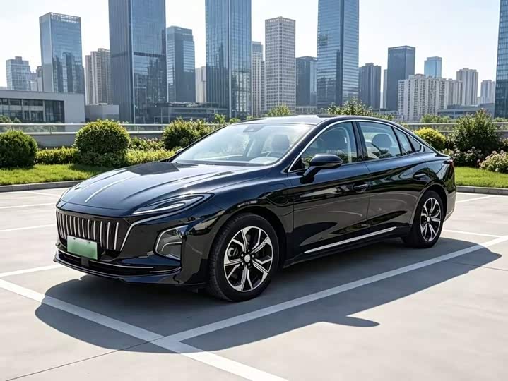 Hongqi E-QM5 2023 basic travel version