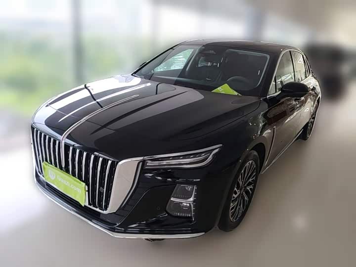 Hongqi H5 2024 2.0T Automatic Zhilian Qichang Edition