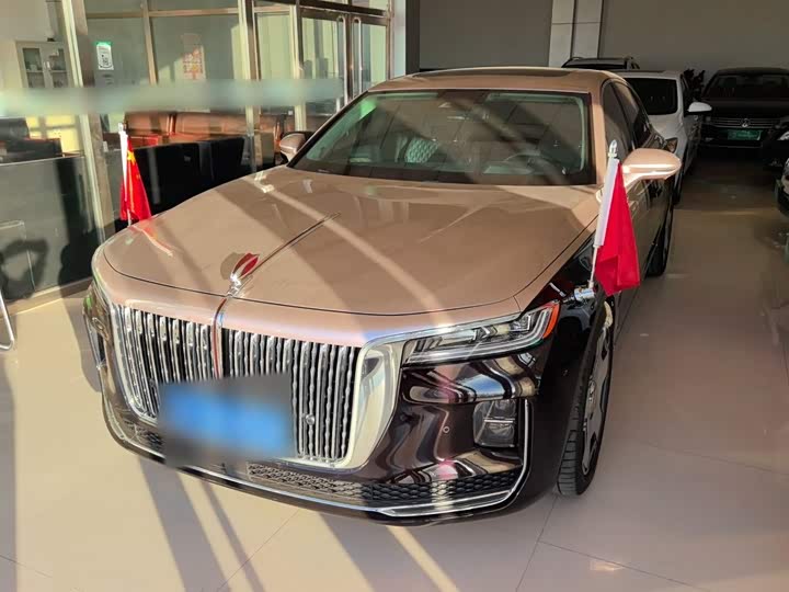 Hongqi H9 2020 3.0T Zhilian Qiling four-seater version