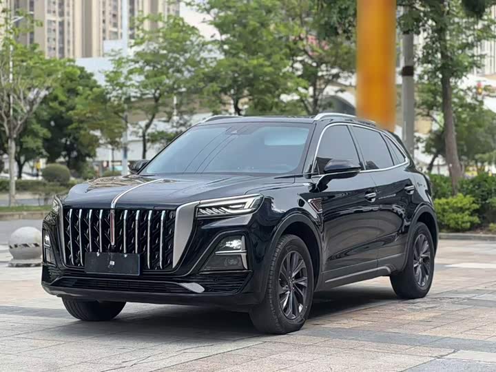 Hongqi HS5 2025 2.0T two-wheel drive Qixiang Pro version