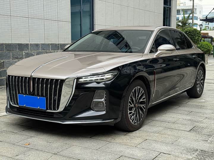 Hongqi H5 2023 2.0T Automatic Zhilianqichang Edition