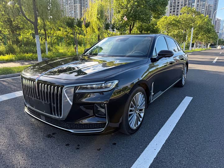Hongqi H9 2020 2.0T Zhilian Qixiang Edition