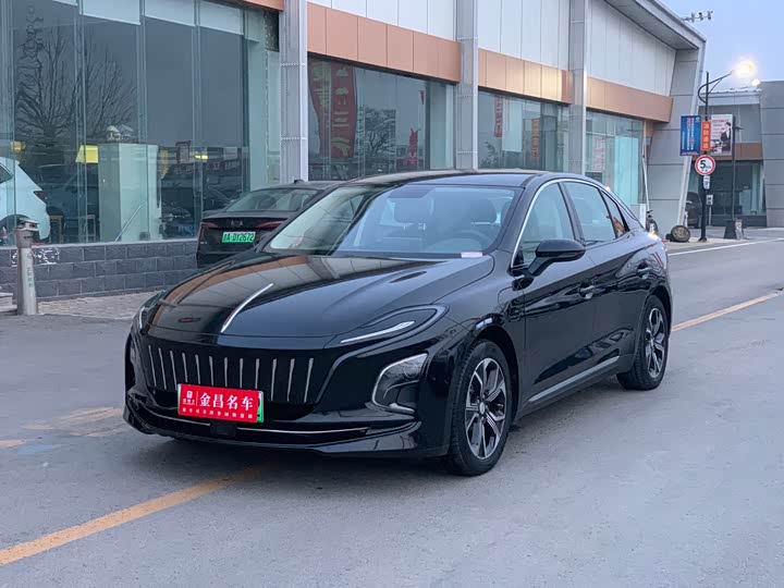 Hongqi E-QM5 2023 basic travel version