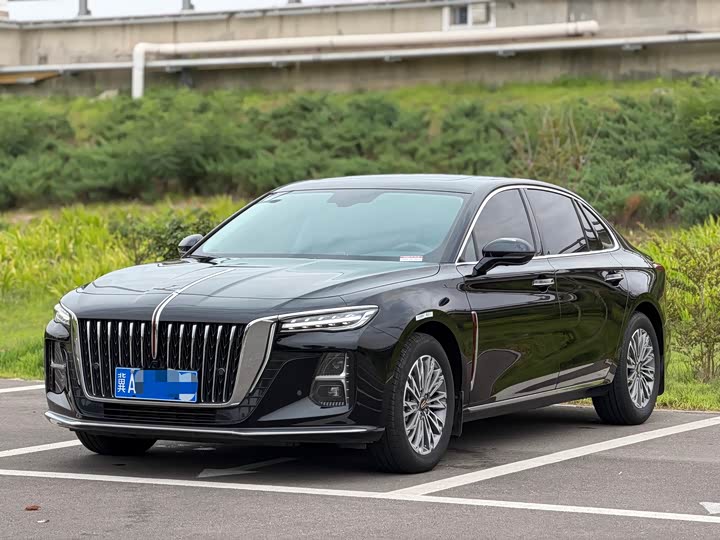 Hongqi H5 2023 2.0T Automatic Zhilian Qichang Edition