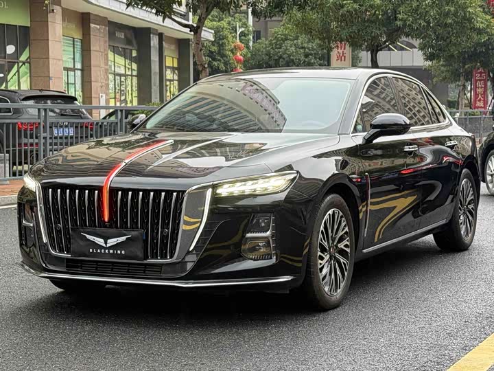 Hongqi H5 2024 2.0T Automatic Zhilian Qichang Edition