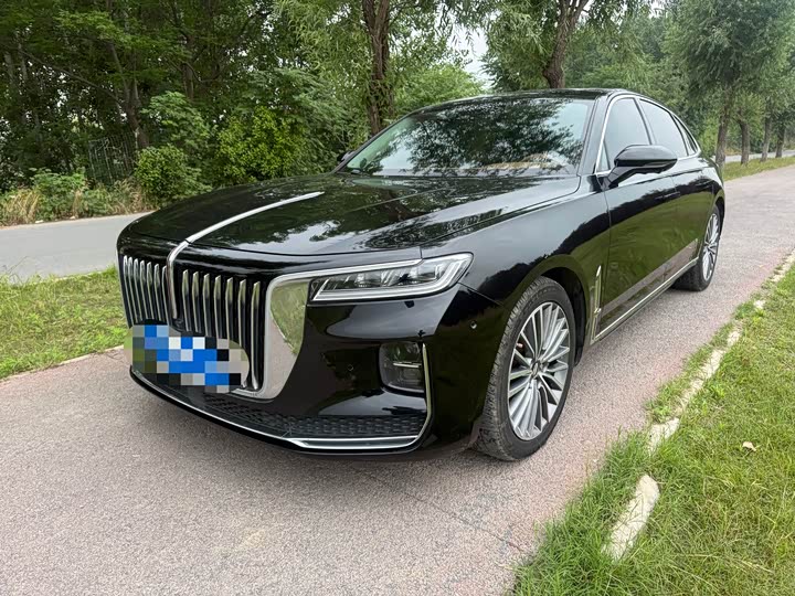 Hongqi H9 2020 2.0T Zhilian Qixiang Edition